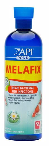 API Pond Melafix 16 oz