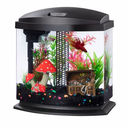 Aqueon LED Betta Bow-Kit w/Divider - 2.5 gal