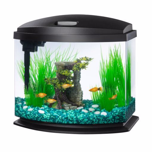 Aqueon LED Mini Bow Kit  5gal