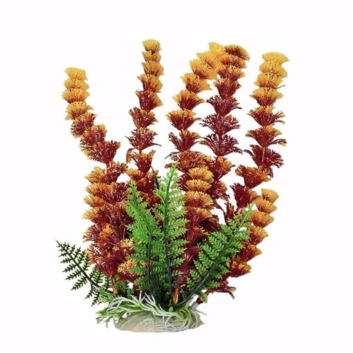 Aqua Plant Cabomba Fire 9"
