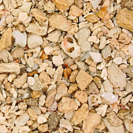 Caribsea Crushed Coral 40