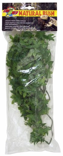 Zoo Med Natural Bush Congo Ivy - Medium 18" (BU-22)