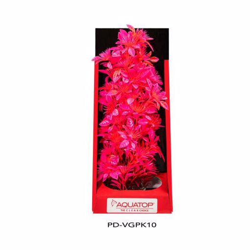 AQT Garden Pink Plant 10"
