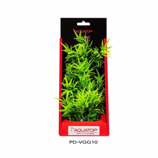 AQT Garden Green Plant 10"