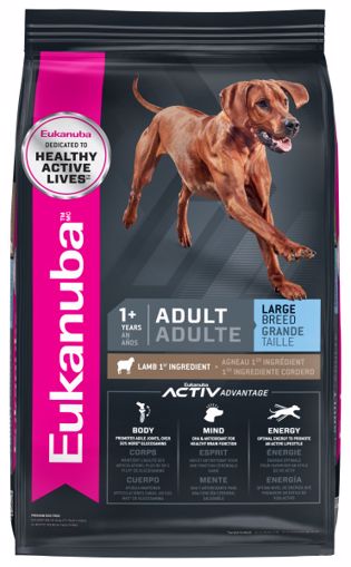 Eukanuba Adult Large Breed Lamb & Rice 15 lbs