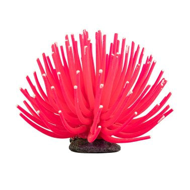 Tetra GloFish Large Pink Anemone