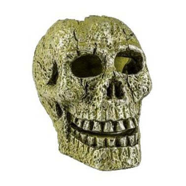 Tetra Glofish Skull - Small 3.5"