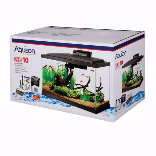 Aqueon Kit - LED 10gal