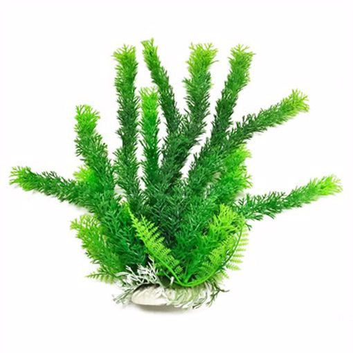 Aqua Plant Cabomba Green 12"