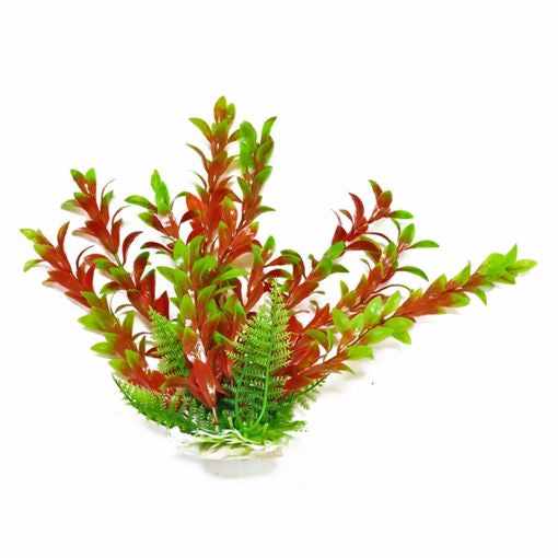 Aqua Plant Hygro Red/Green 6"
