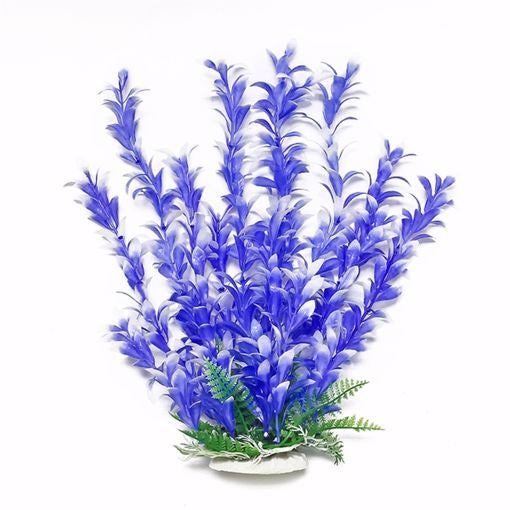 Aqua Plant Bacopa Blue 6"