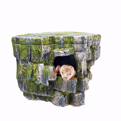 Zilla Rock Cave (vertical)