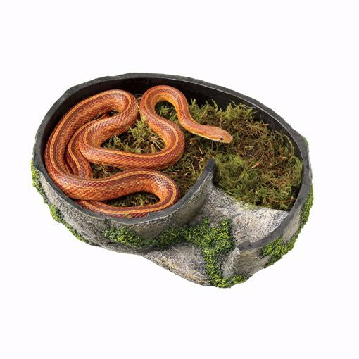 Zilla Rock Lair - Large