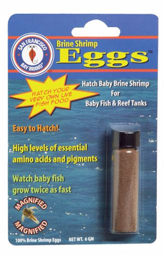 SF Brine Shrimp Eggs 6gm
