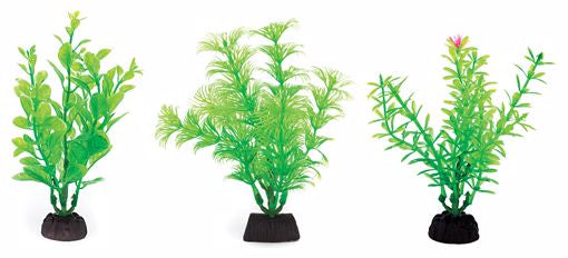 PP Plant - Green (6/pk) 4"