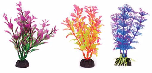 PP Plant - Asst Colors (6/pk) 4"