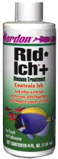 Kordon Rid Ich+ 4oz