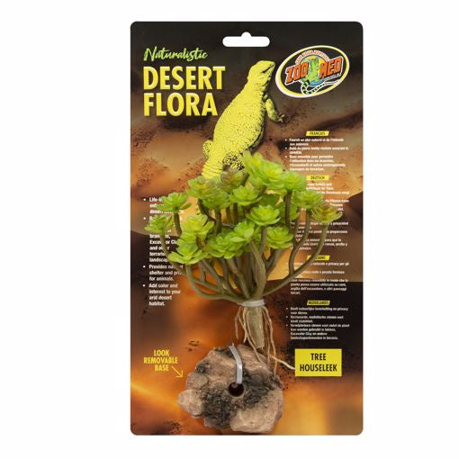 Zoo Med Desert Flora - Tree Houseleek