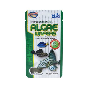 Hikari Algae Wafer .70 oz