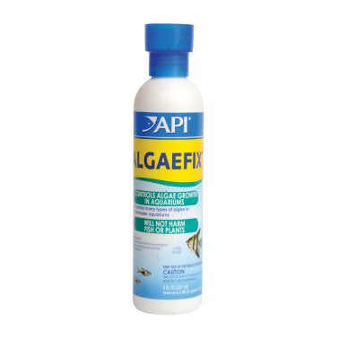 API Algae Fix 8oz