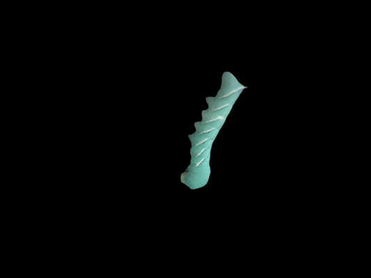 Horn Worm (each)